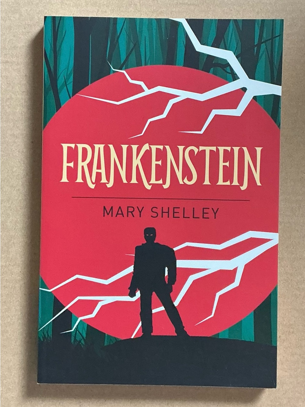 2/$15 | 3/$25 Frankenstein - Mary Shelley